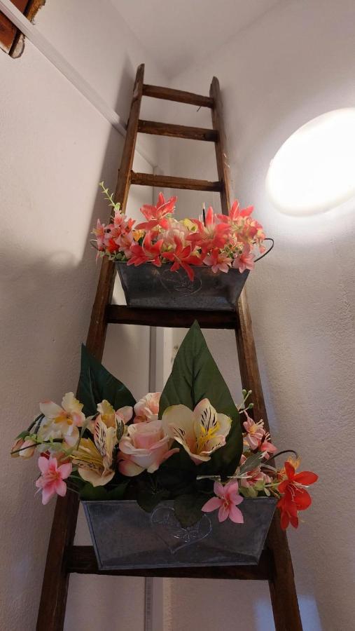 La Casa Dei Gatti Syrakus